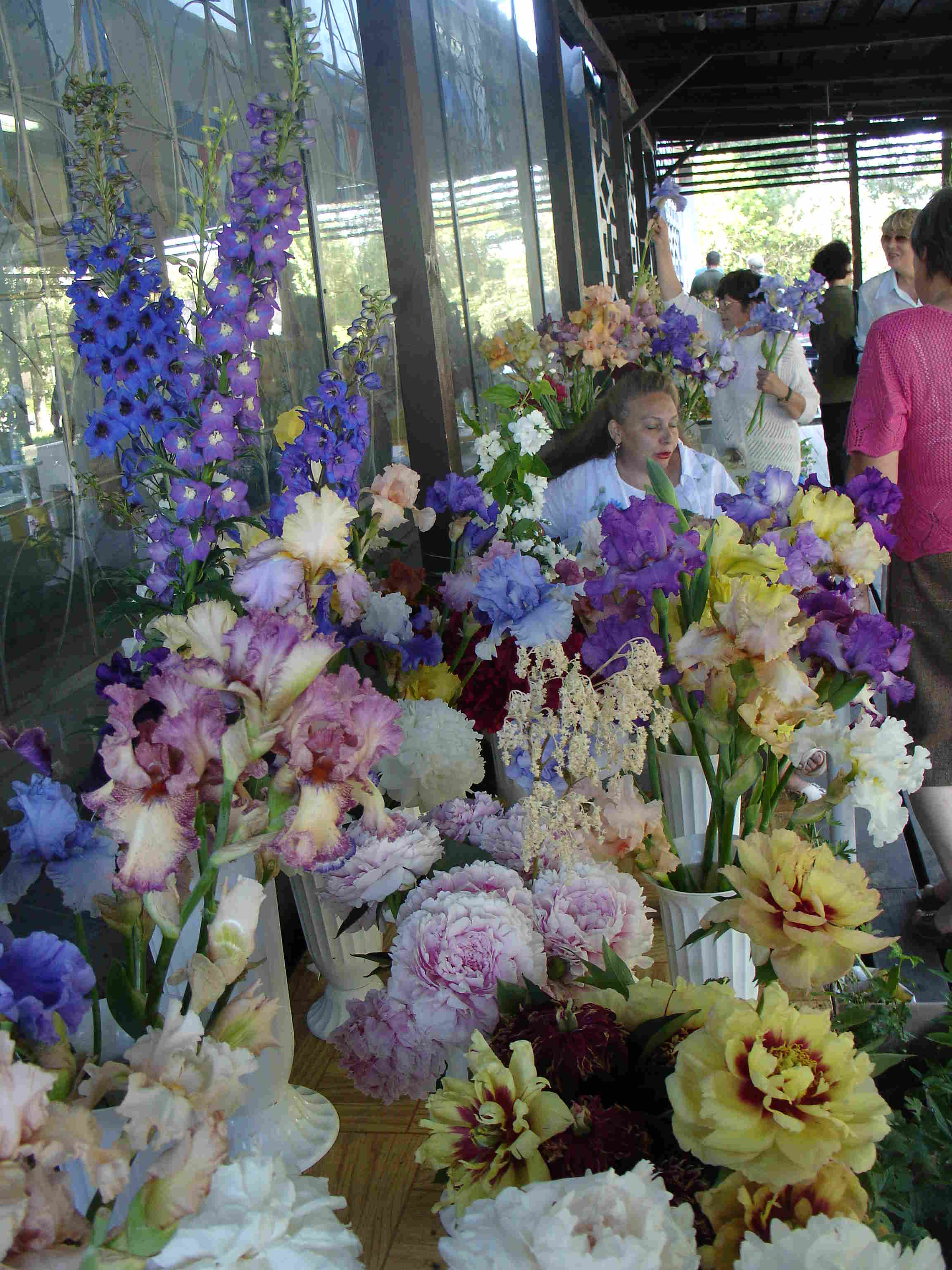 фотография экспозиции c выставки цветов:июнь 2006 год
