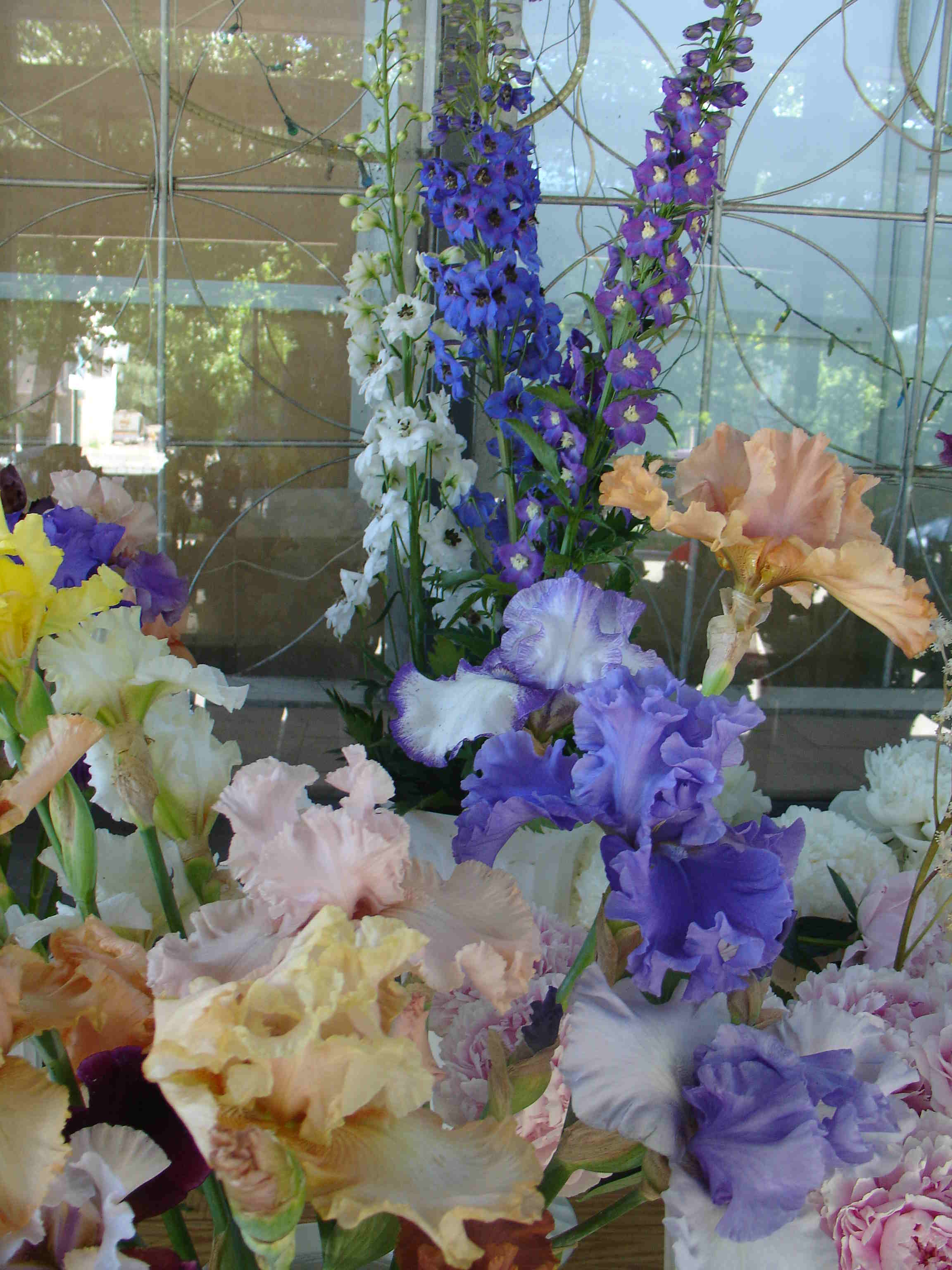 фотография экспозиции c выставки цветов:июнь 2006 год